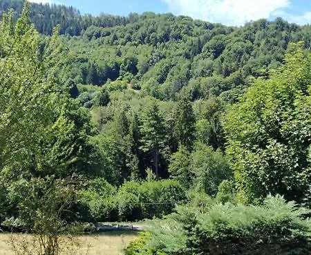 Gite De Charme Pleine Nature Vecoux Esterno foto