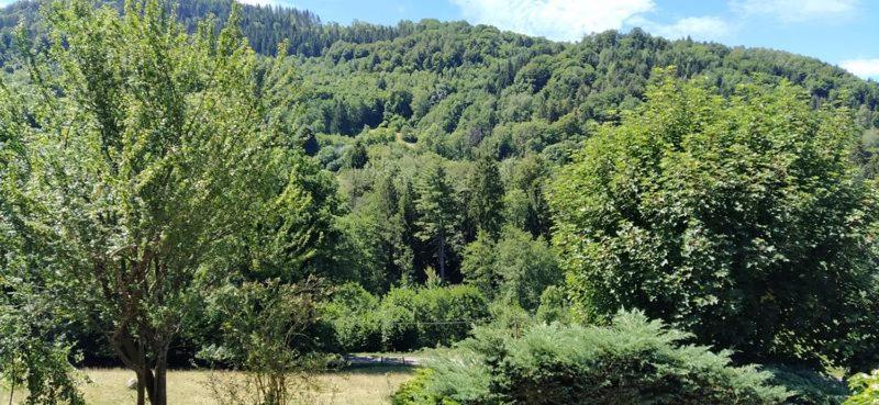 De Charme Pleine Nature Appartement *